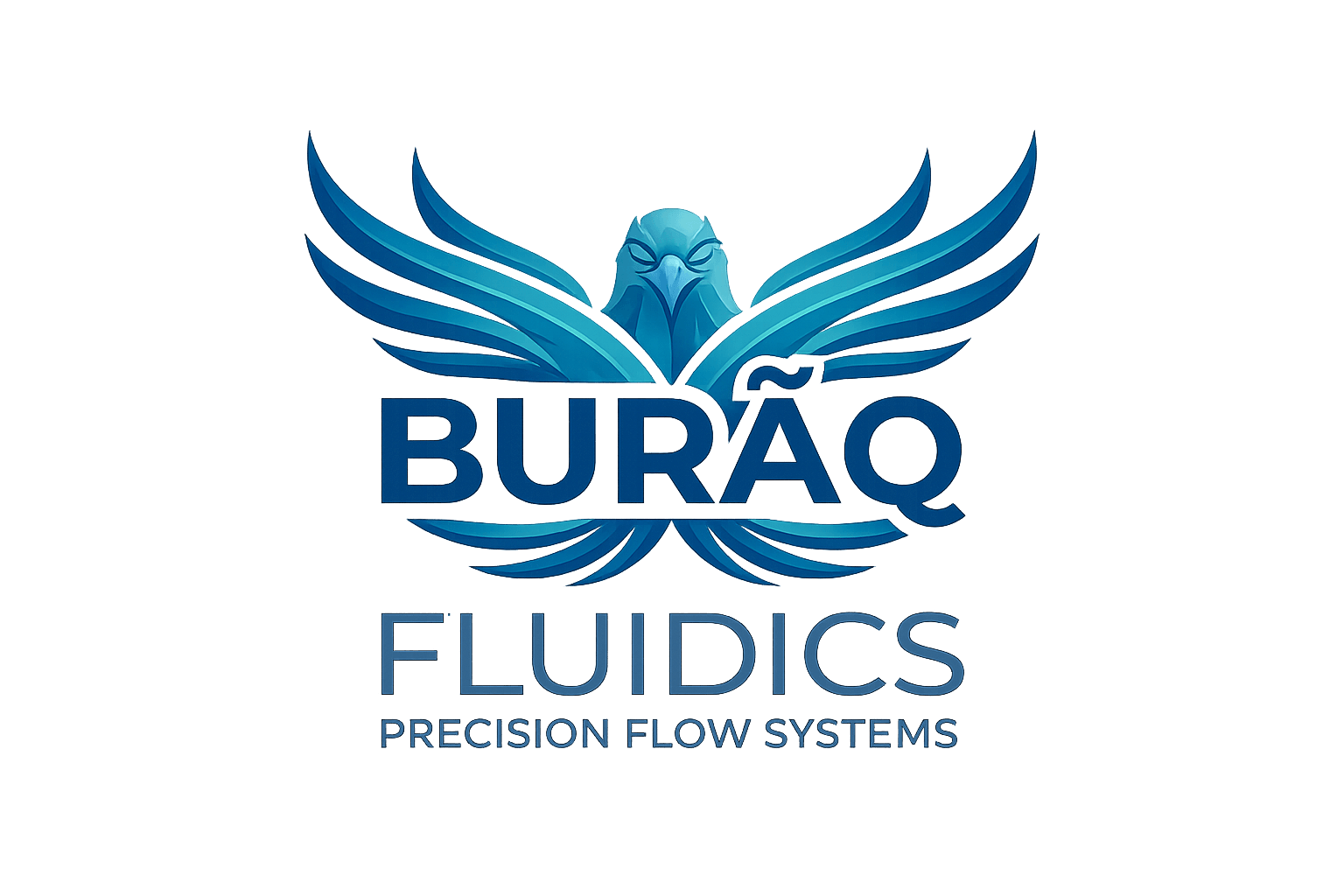 BURAQ FLUIDICS PRECISION FLOW SYSTEMS